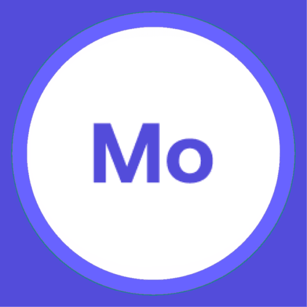 Motion Array Premium Lisans