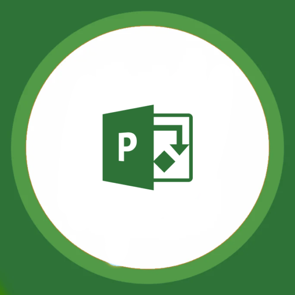 Project 2019 Lisans Anahtarı